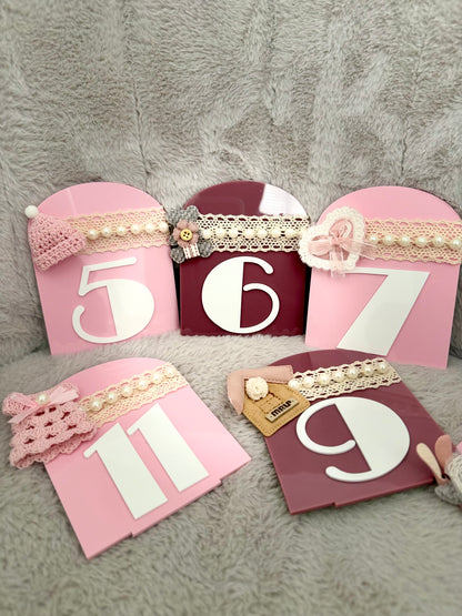 Acrylic Baby Milestone Set  Monthly Keepsake Arch Signs