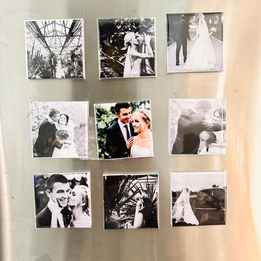 Fridge Magnet Set of 6